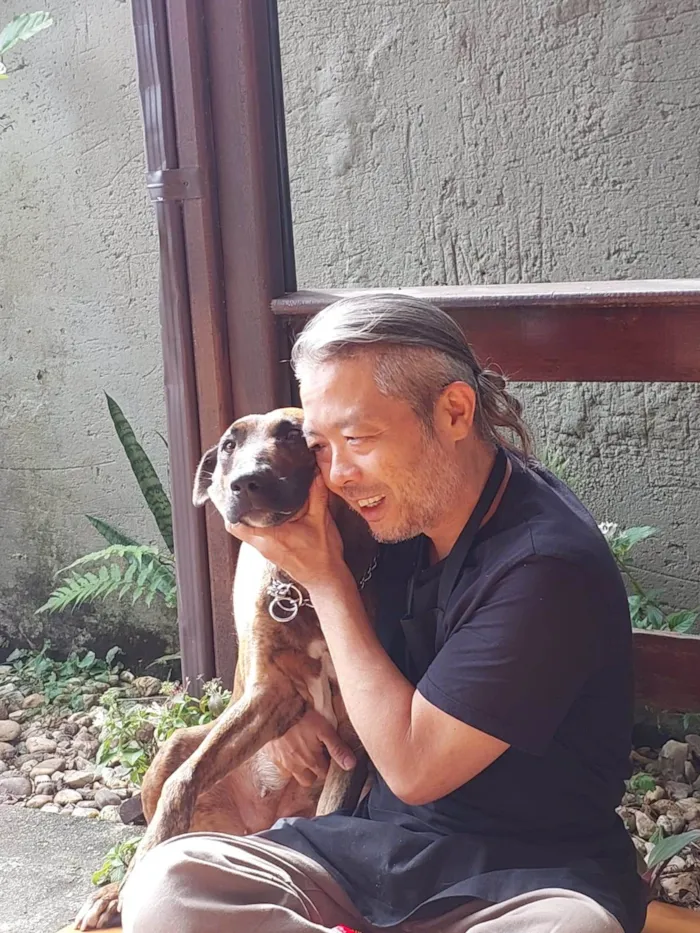 Cachorro ra a SRD-ViraLata idade 4 anos nome Amada