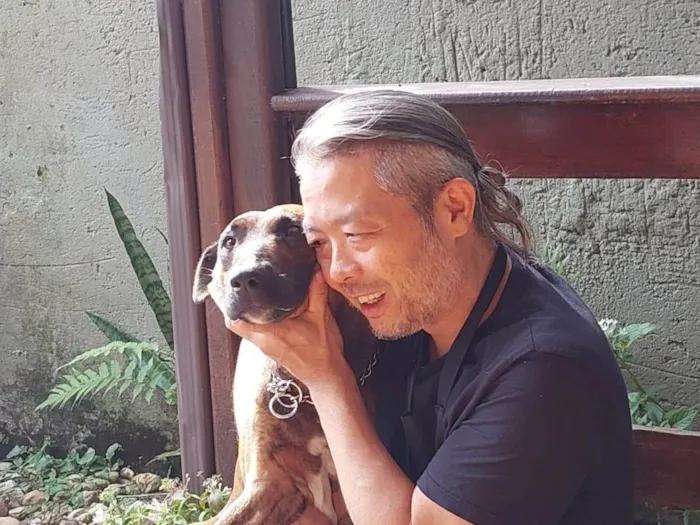 Cachorro ra a SRD-ViraLata idade 4 anos nome Amada