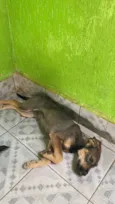 não tem 