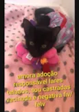 Amora/ peposa manas