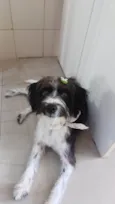 FLOQUIM