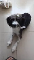FLOQUIM