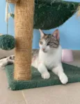 PENÉLOPE