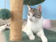PENÉLOPE