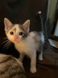 Leonard