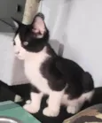 Otávio