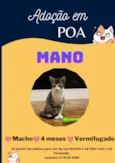 Mano