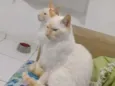 Bernardes e Japa 