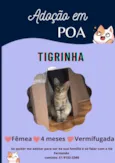 Tigrinha