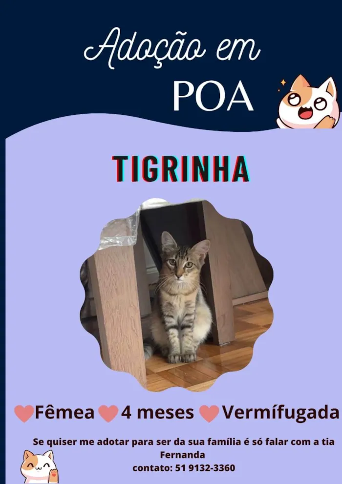 Gato ra a SRD-ViraLata idade 2 a 6 meses nome Tigrinha