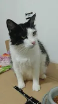 João
