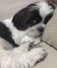 Bob 