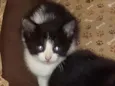 Juni