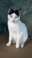 Samira