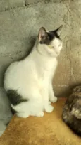 Samira