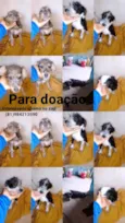 Luna, e florzinha 