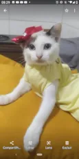 Mel