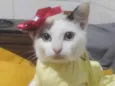 Mel