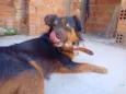 Jhon