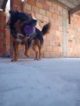 Jhon