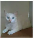 MAITÊ