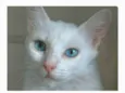MAITÊ