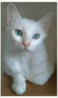 MAITÊ