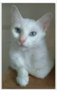 MAITÊ