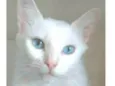MAITÊ