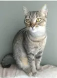 NALA