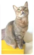 NALA