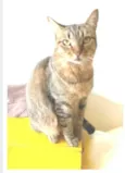 NALA