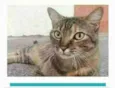 JULLY