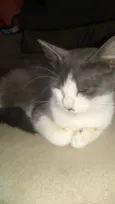 MEL