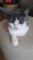MEL