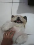 Fred