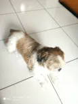 Fred