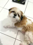 Fred