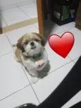 Fred