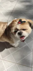 Fred