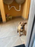 Paçoca