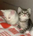 Beti e Vilma