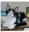 OTTO