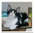 OTTO