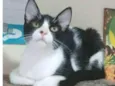 OTTO