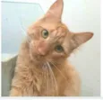 BEN