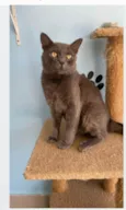 TITO