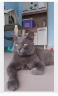 TITO