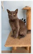 TITO