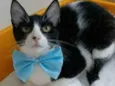 OTTO